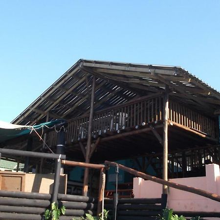 Jungle Monkey Backpackers Hostel Port Saint John's Exterior photo
