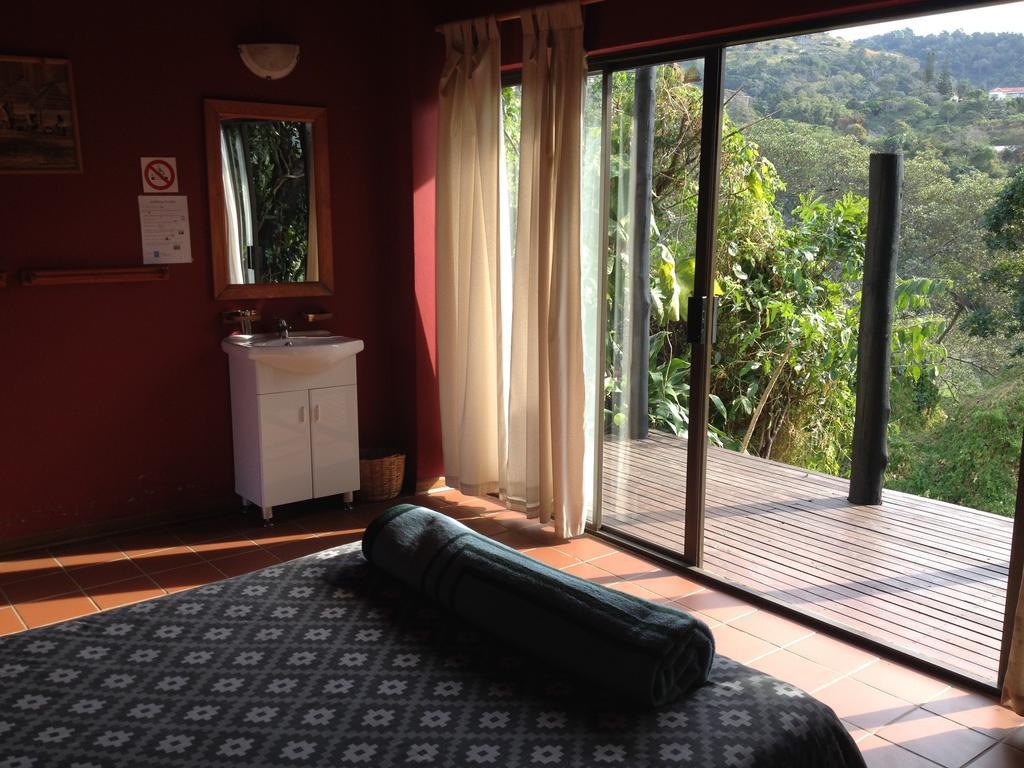 Jungle Monkey Backpackers Hostel Port Saint John's Room photo