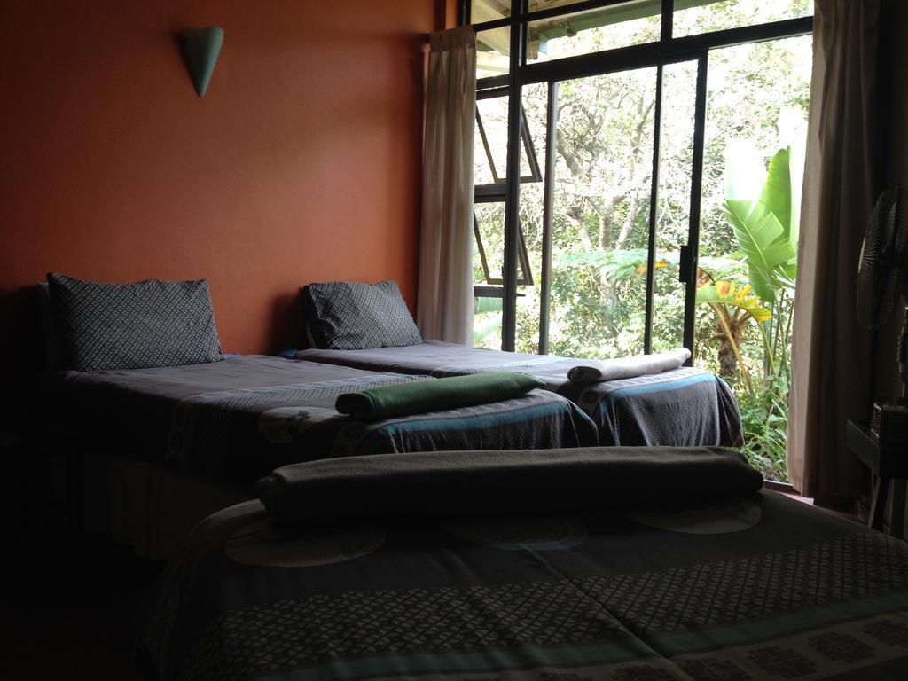 Jungle Monkey Backpackers Hostel Port Saint John's Room photo