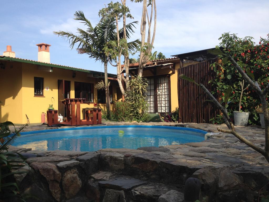 Jungle Monkey Backpackers Hostel Port Saint John's Room photo