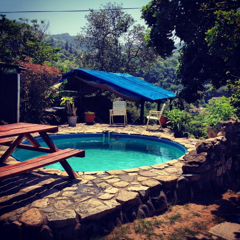Jungle Monkey Backpackers Hostel Port Saint John's Room photo