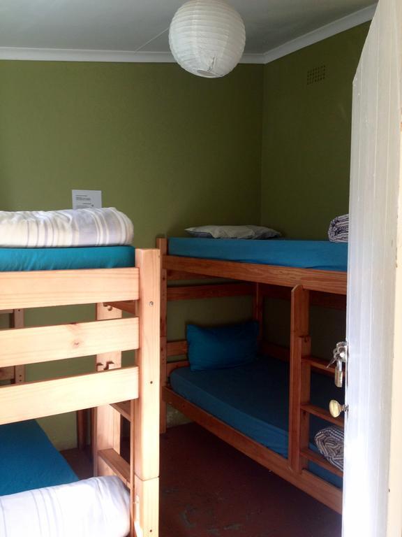 Jungle Monkey Backpackers Hostel Port Saint John's Room photo