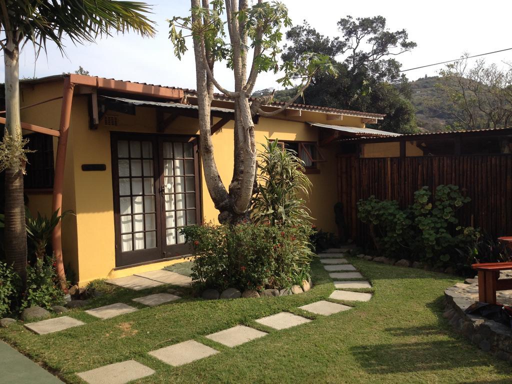 Jungle Monkey Backpackers Hostel Port Saint John's Room photo