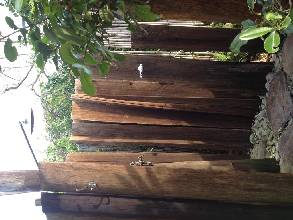 Jungle Monkey Backpackers Hostel Port Saint John's Room photo