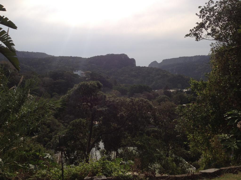 Jungle Monkey Backpackers Hostel Port Saint John's Room photo